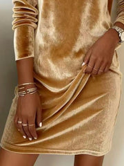 Velvet Cowl Neck Long Sleeve Mini Dress