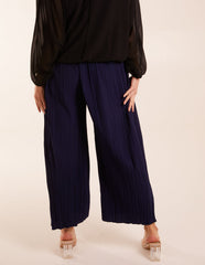 Wide Leg Pleated Trousers